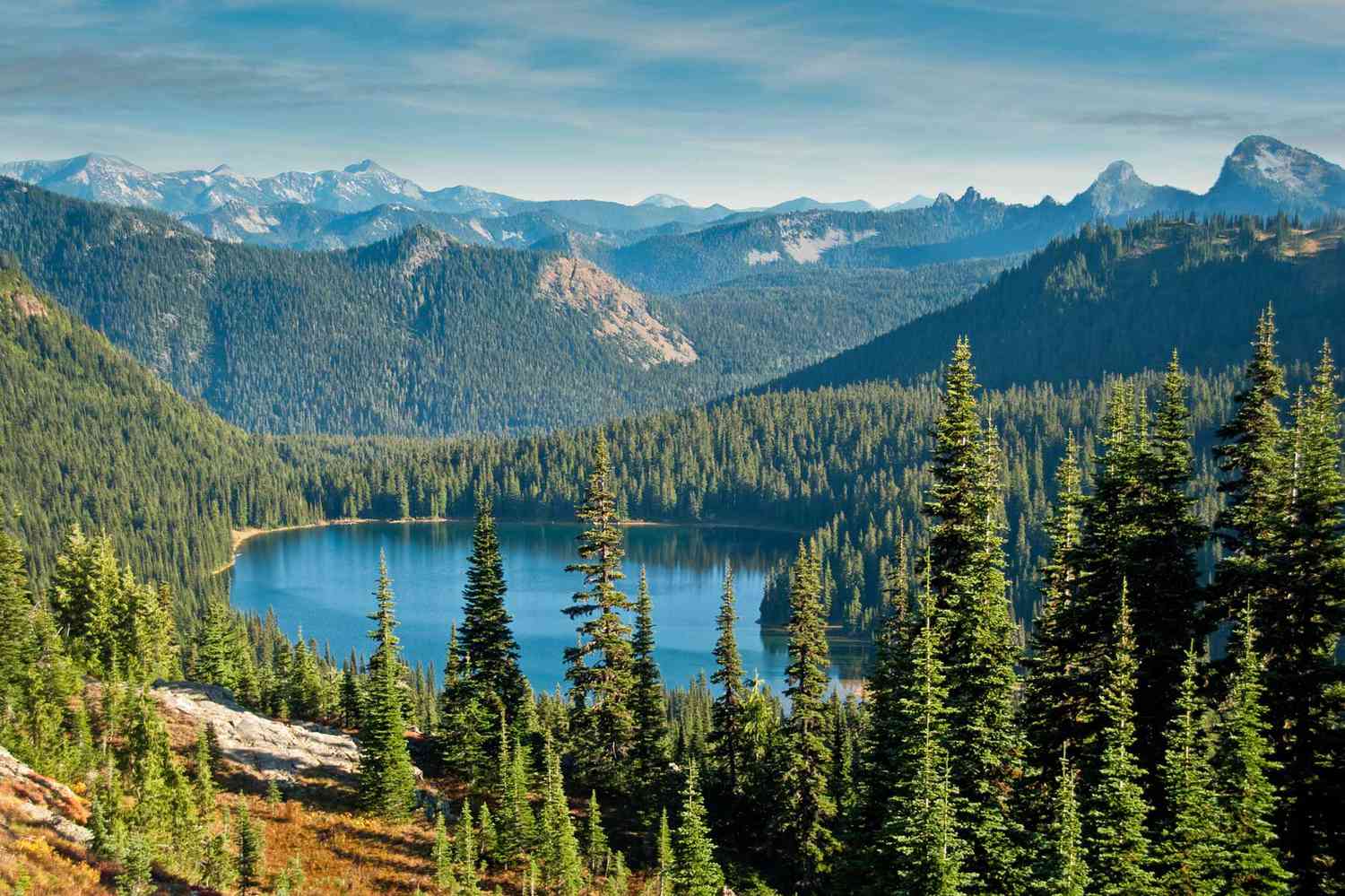 Alpine lake and forest landscape